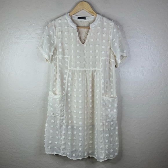 Chiffon Swiss Dot Flowy Mini Dress - Picture 3 of 7